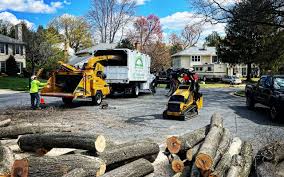 Best Emergency Tree Removal  in Camp Barrett, VA